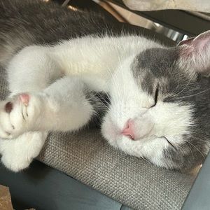 Meet your Posher, Jasmyne